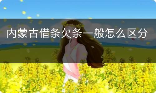 内蒙古借条欠条一般怎么区分