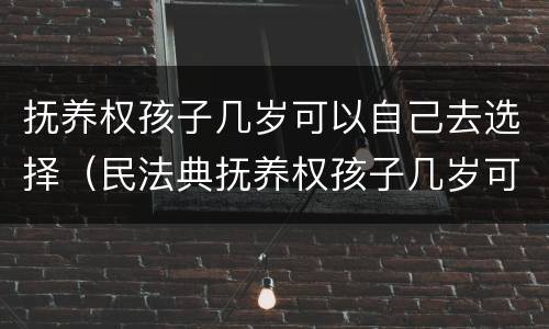抚养权孩子几岁可以自己去选择（民法典抚养权孩子几岁可以自己选择）