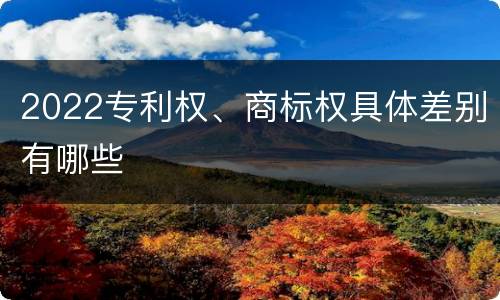2022专利权、商标权具体差别有哪些