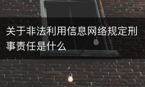关于非法利用信息网络规定刑事责任是什么
