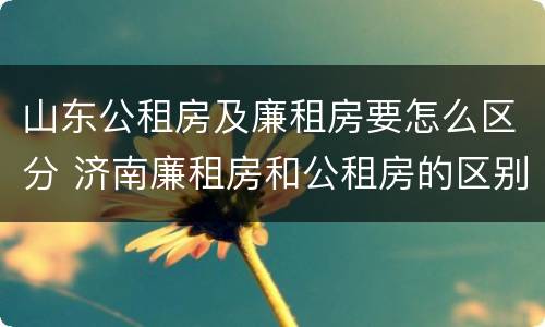 山东公租房及廉租房要怎么区分 济南廉租房和公租房的区别