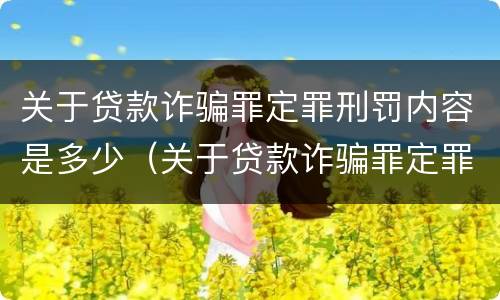 关于贷款诈骗罪定罪刑罚内容是多少（关于贷款诈骗罪定罪刑罚内容是多少个）