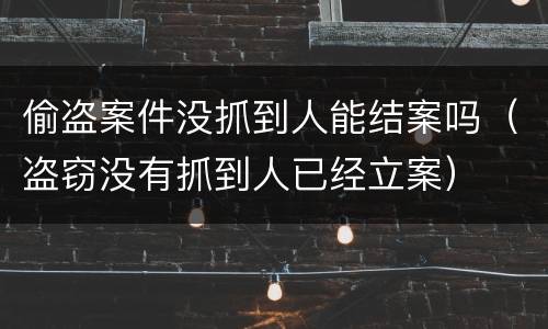 偷盗案件没抓到人能结案吗（盗窃没有抓到人已经立案）