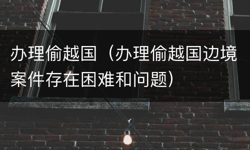 办理偷越国（办理偷越国边境案件存在困难和问题）