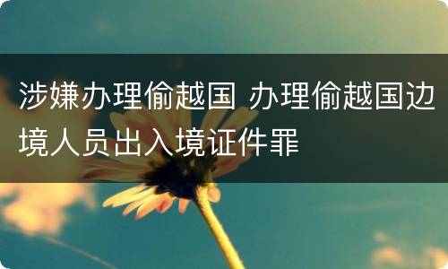 涉嫌办理偷越国 办理偷越国边境人员出入境证件罪