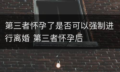 第三者怀孕了是否可以强制进行离婚 第三者怀孕后