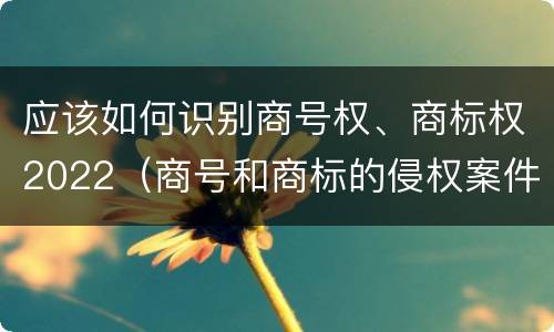 应该如何识别商号权、商标权2022（商号和商标的侵权案件）