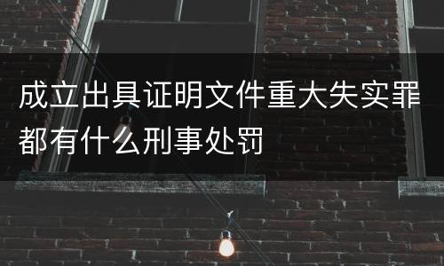 成立出具证明文件重大失实罪都有什么刑事处罚