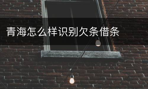 青海怎么样识别欠条借条