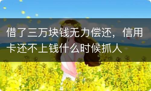借了三万块钱无力偿还，信用卡还不上钱什么时候抓人