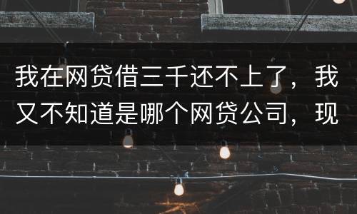 我在网贷借三千还不上了，我又不知道是哪个网贷公司，现在他们起诉我了，我会坐牢吗