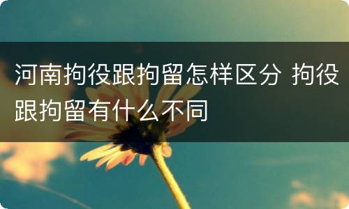 河南拘役跟拘留怎样区分 拘役跟拘留有什么不同