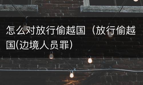 怎么对放行偷越国（放行偷越国(边境人员罪）