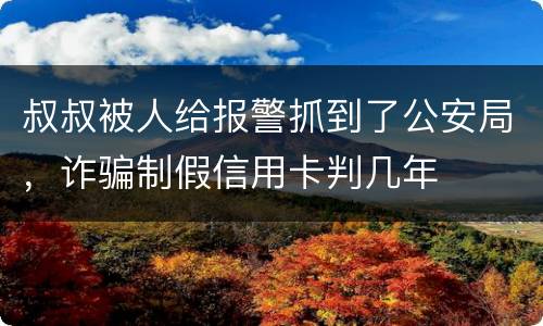 叔叔被人给报警抓到了公安局，诈骗制假信用卡判几年