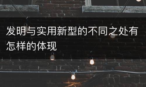 发明与实用新型的不同之处有怎样的体现