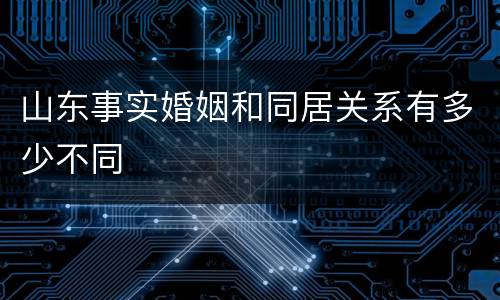 山东事实婚姻和同居关系有多少不同