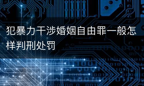 犯暴力干涉婚姻自由罪一般怎样判刑处罚