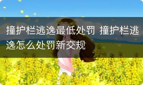 撞护栏逃逸最低处罚 撞护栏逃逸怎么处罚新交规