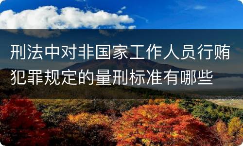 刑法中对非国家工作人员行贿犯罪规定的量刑标准有哪些