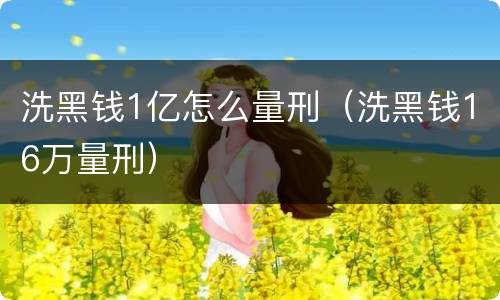 洗黑钱1亿怎么量刑（洗黑钱16万量刑）