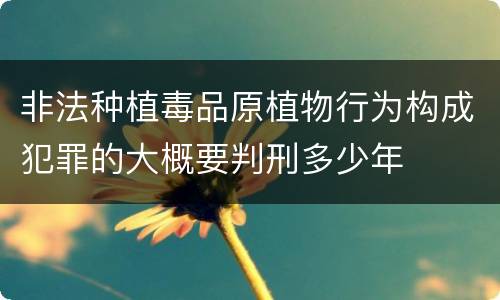 非法种植毒品原植物行为构成犯罪的大概要判刑多少年