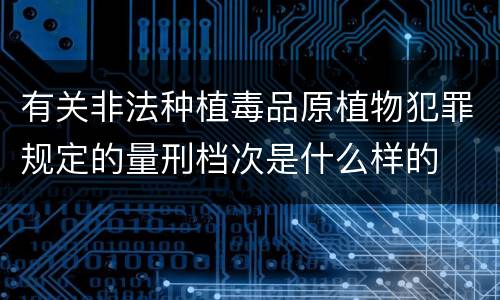有关非法种植毒品原植物犯罪规定的量刑档次是什么样的