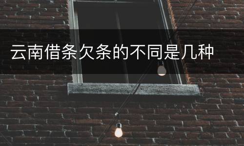 云南借条欠条的不同是几种