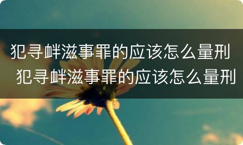 犯寻衅滋事罪的应该怎么量刑 犯寻衅滋事罪的应该怎么量刑呢