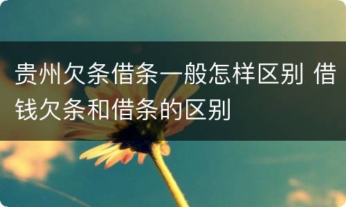 贵州欠条借条一般怎样区别 借钱欠条和借条的区别