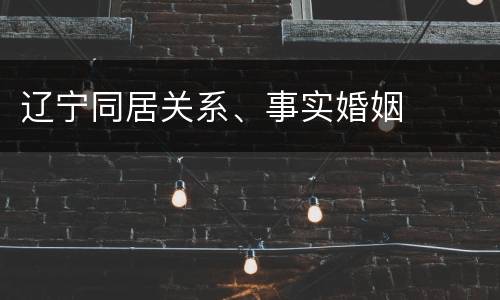 辽宁同居关系、事实婚姻