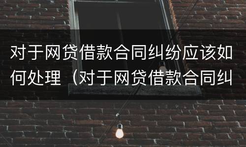 对于网贷借款合同纠纷应该如何处理（对于网贷借款合同纠纷应该如何处理好）