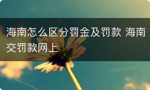 海南怎么区分罚金及罚款 海南交罚款网上