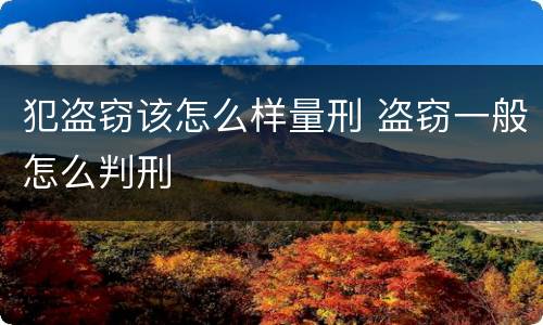 犯盗窃该怎么样量刑 盗窃一般怎么判刑