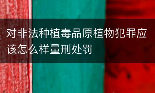 对非法种植毒品原植物犯罪应该怎么样量刑处罚