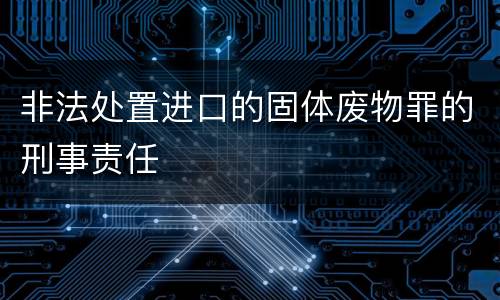 非法处置进口的固体废物罪的刑事责任