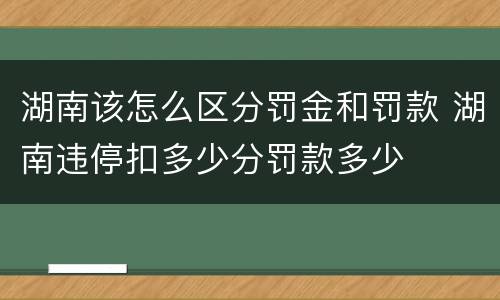 湖南该怎么区分罚金和罚款 湖南违停扣多少分罚款多少