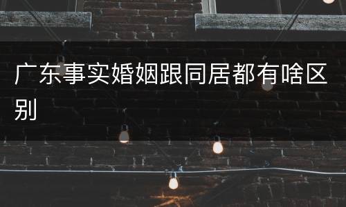 广东事实婚姻跟同居都有啥区别