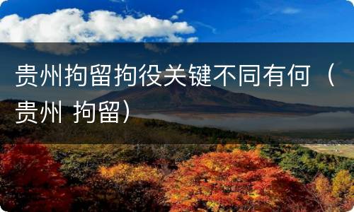 贵州拘留拘役关键不同有何（贵州 拘留）