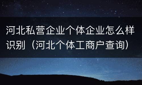 河北私营企业个体企业怎么样识别（河北个体工商户查询）
