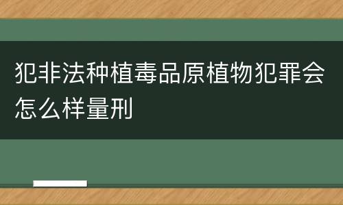 犯非法种植毒品原植物犯罪会怎么样量刑