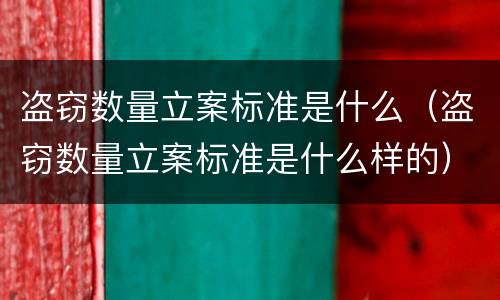 盗窃数量立案标准是什么（盗窃数量立案标准是什么样的）