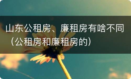 山东公租房、廉租房有啥不同（公租房和廉租房的）