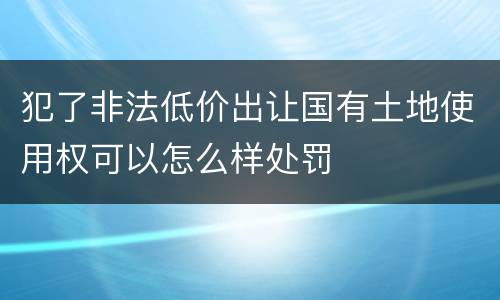 犯了非法低价出让国有土地使用权可以怎么样处罚