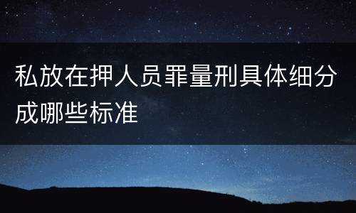 私放在押人员罪量刑具体细分成哪些标准
