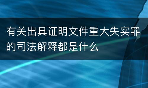 有关出具证明文件重大失实罪的司法解释都是什么