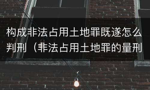 构成非法占用土地罪既遂怎么判刑（非法占用土地罪的量刑）