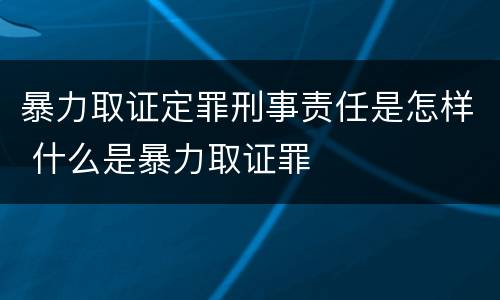 暴力取证定罪刑事责任是怎样 什么是暴力取证罪