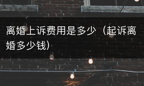 离婚上诉费用是多少（起诉离婚多少钱）