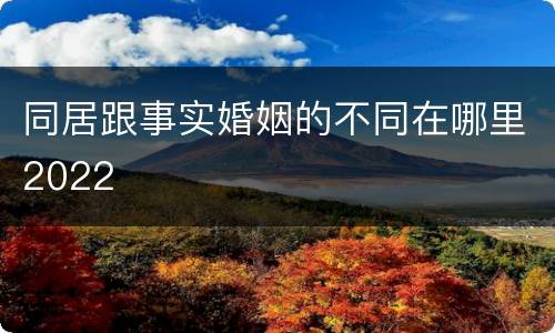 同居跟事实婚姻的不同在哪里2022