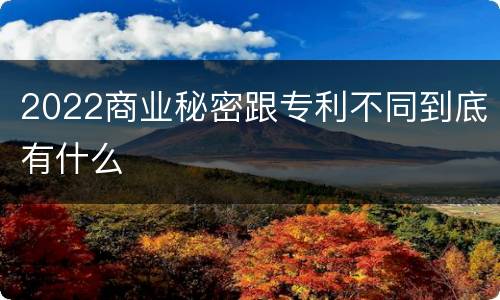 2022商业秘密跟专利不同到底有什么